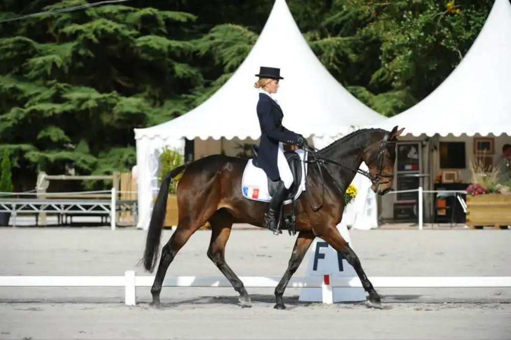 Maître Camille Geiger à cheval, avocate spécialisée en droit équin