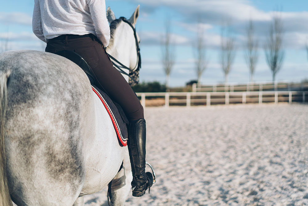 droi equin article